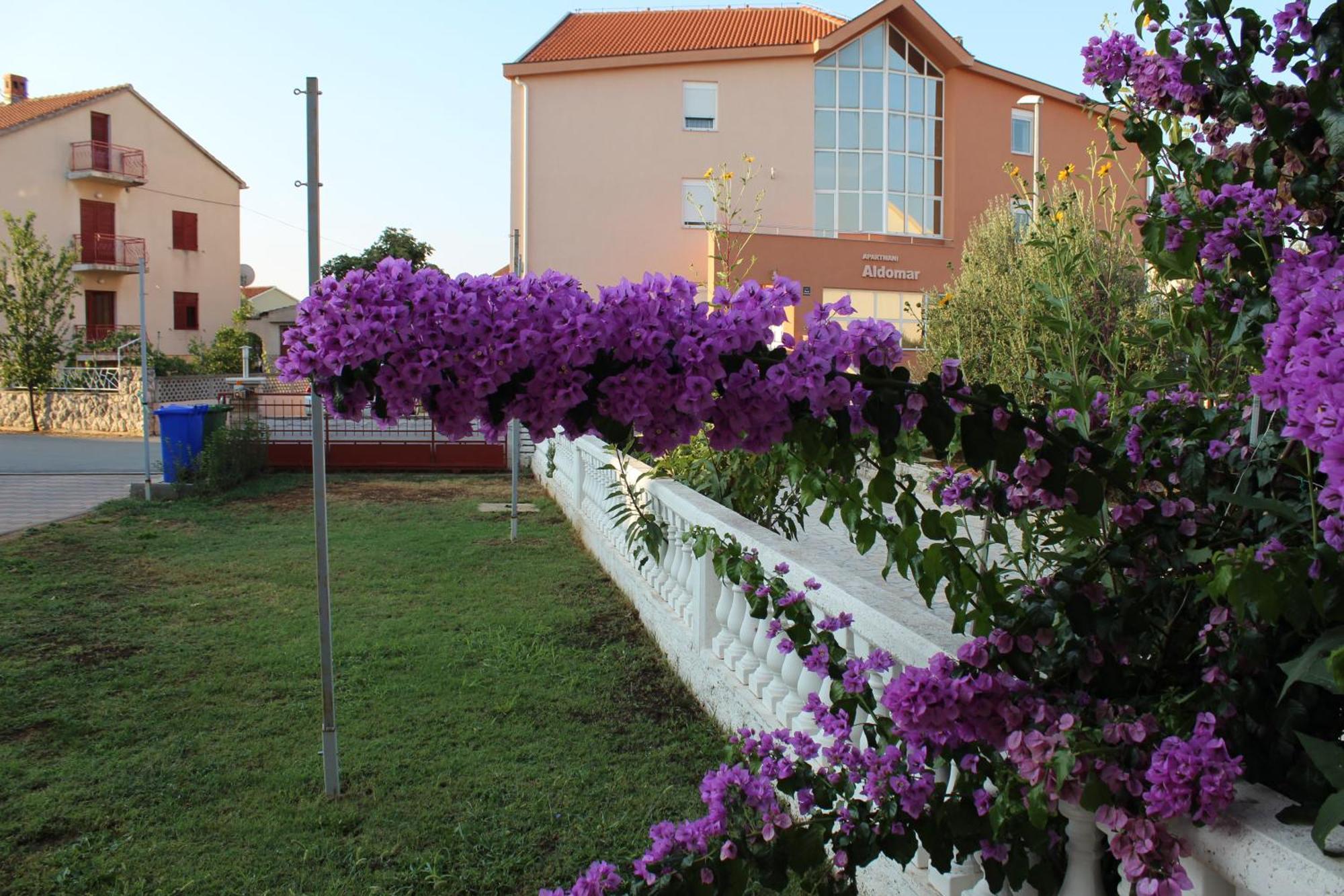 Apartment Mladen Biograd Na Moru Exterior photo
